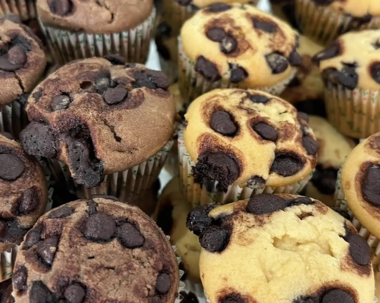 Chocochip & Double Chocochip Muffins